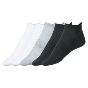CRIVIT Pánské nízké ponožky, 5 párů (adult#male, 43/44, šedá/bílá/černá)